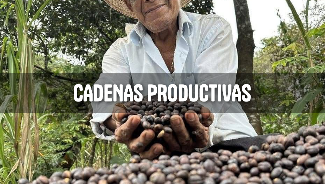 hecho en gro cadenas productivas