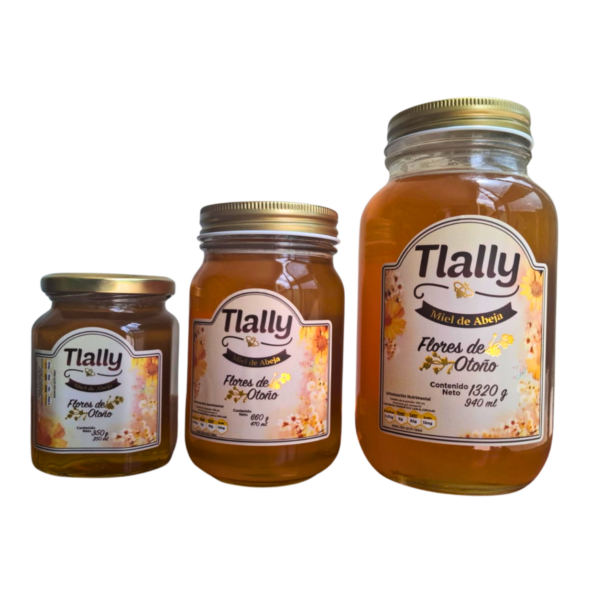 Miel Tlally | Flores de otoño Miel Tlally | Flores de otoño